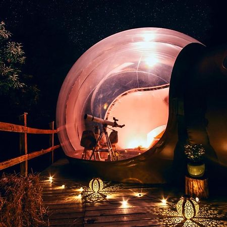 Maso La Marianna Bubble Glamping In Trentino Bed & Breakfast Sant'Orsola Exterior photo