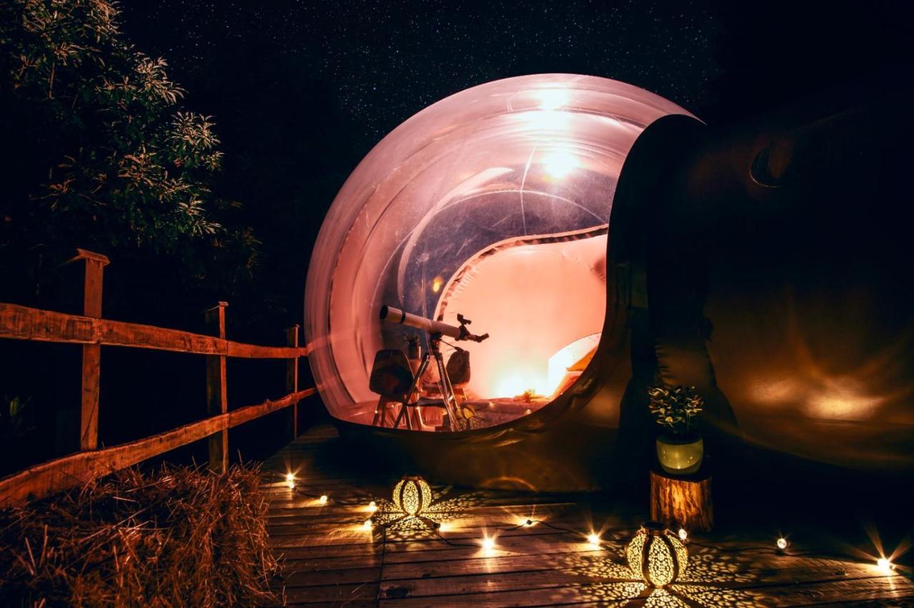 Maso La Marianna Bubble Glamping In Trentino Bed & Breakfast Sant'Orsola Exterior photo